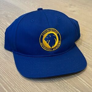 NWOR Richardson Livingstone Adventist Academy Royal Blue Snapback Hat